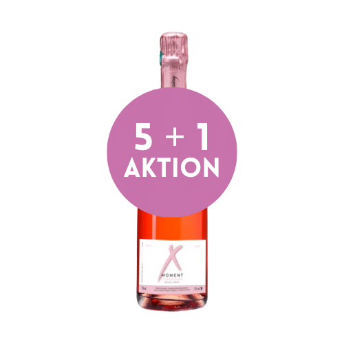 DEIN 5+1 KARTON! Mehr X-Moment Rosé Champagner